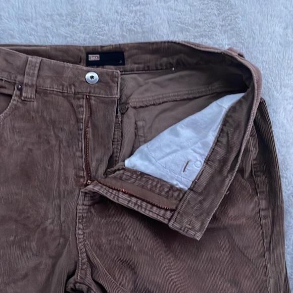 Vintage Beige Corduroy Pants - Picture 3 of 5